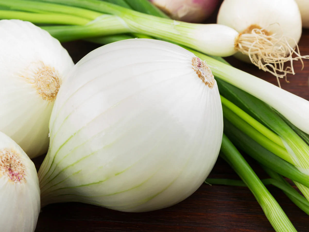 Mild Flavored White Onion